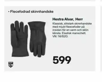 XXL Hestra Alvar, Herr erbjuda