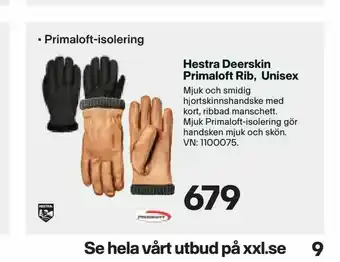 XXL Hestra Deerskin Primaloft Rib, Unisex erbjuda
