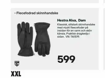 XXL Hestra Alva, Dam erbjuda