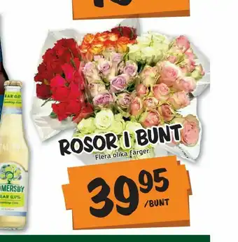 Bazaar Food market Rosor i bunt erbjuda