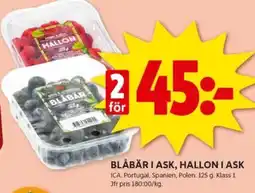 ICA Kvantum BLÅBÄR I ASK, HALLON I ASK erbjuda