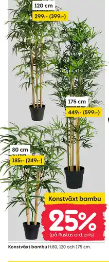 Rusta Konstväxt bambu erbjuda
