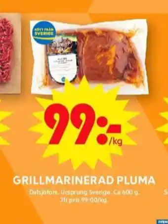 ICA Maxi Dalsjöfors pluma erbjuda