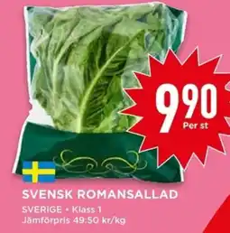 SVENSK ROMANSALLAD