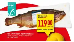 Leröy regnbågslax