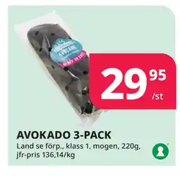 Tempo AVOKADO 3-PACK erbjuda