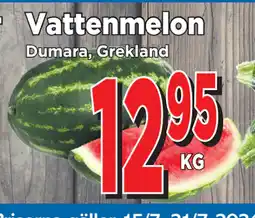 Supergrossen Vattenmelon erbjuda