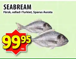 Matvärlden Tensta SEABREAM erbjuda