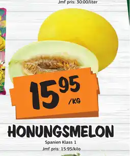 Bazaar Food market HONUNGSMELON erbjuda