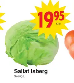 Jm chark sallat