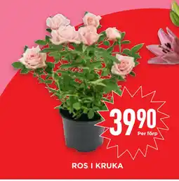 Willys Hemma ROS I KRUKA erbjuda