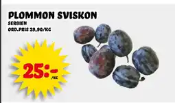 Nelins plommon sviskon erbjuda