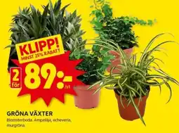 ICA Kvantum GRÖNA VÄXTER erbjuda