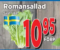 Romansallad