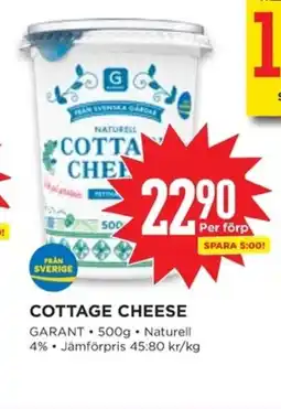 Willys COTTAGE CHEESE erbjuda