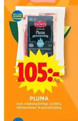 Dalsjöfors pluma