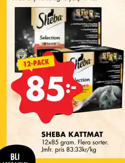 ÖoB SHEBA KATTMAT erbjuda