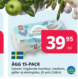Tempo ÄGG 15-PACK erbjuda