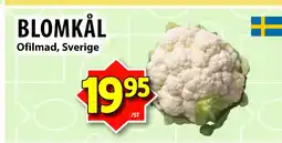 Matvärlden Tensta BLOMKÅL erbjuda