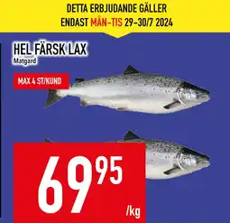 Matdax HEL FÄRSK LAX erbjuda