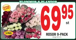 Nya Pulsen ROSOR 9-PACK erbjuda