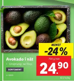 Lidl Avokado i nät erbjuda