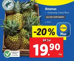 Lidl Ananas erbjuda