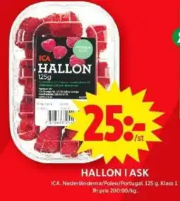 ICA Maxi HALLON I ASK erbjuda