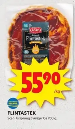 FLINTASTEK