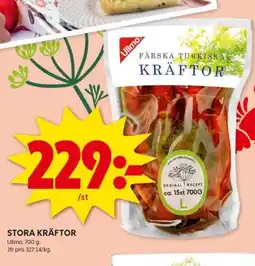 STORA KRÄFTOR