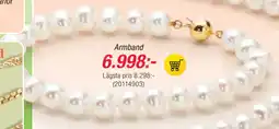 Guldfynd Armband erbjuda