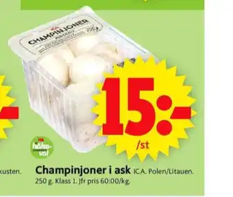 ICA Supermarket Ica champinjoner erbjuda