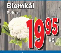 Supergrossen Blomkål erbjuda