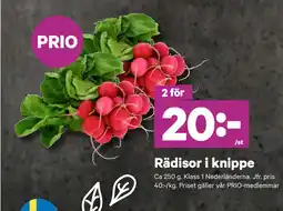 City Gross Rädisor i knippe erbjuda