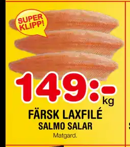 Nya Pulsen FÄRSK LAXFILÉ erbjuda