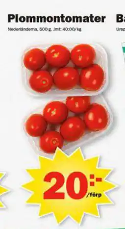 Pekås Plommontomater erbjuda