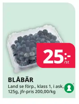 Tempo BLÅBÄR erbjuda