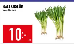 Matdax SALLADSLÖK erbjuda