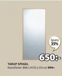 TARUP SPEGEL