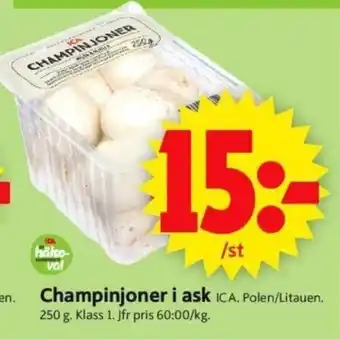 ICA Supermarket Champinjoner i ask erbjuda