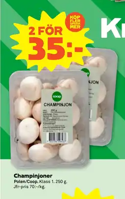 Stora Coop Champinjoner erbjuda