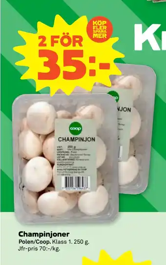 Stora Coop Champinjoner erbjuda