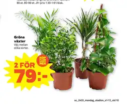 Stora Coop Gröna växter erbjuda