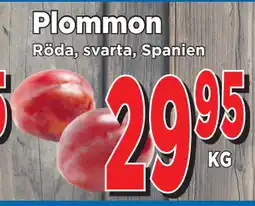 Supergrossen Plommon erbjuda