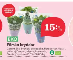 Hemköp Garant dill erbjuda