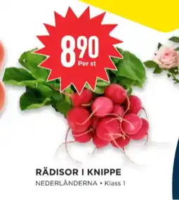 Willys Garant rädisor erbjuda
