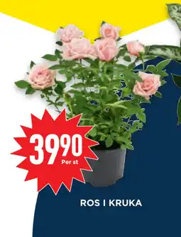 Willys Hemma ROS I KRUKA erbjuda