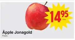 Matöppet Äpple Jonagold erbjuda