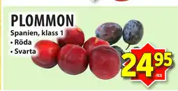 Matvärlden Tensta PLOMMON erbjuda