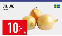 Matdax GUL LÖK erbjuda